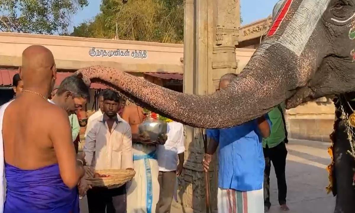 Governor RN Ravi Performs Special Prayers At Ranganathaswamy Temple In Srirangam