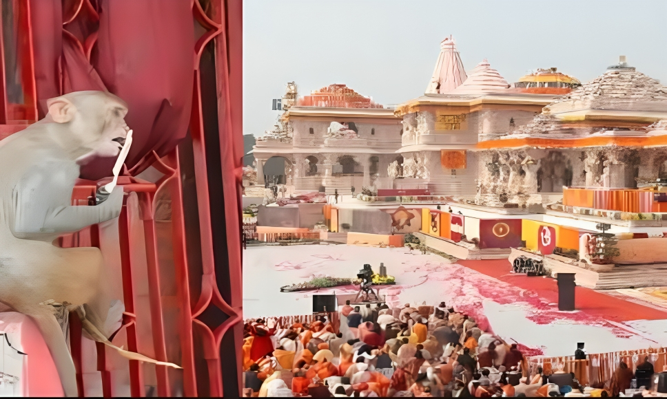 Viral Now! Monkey Enters The Sanctum Sanctorum Of Ram Lalla In Ayodhya Ram Temple