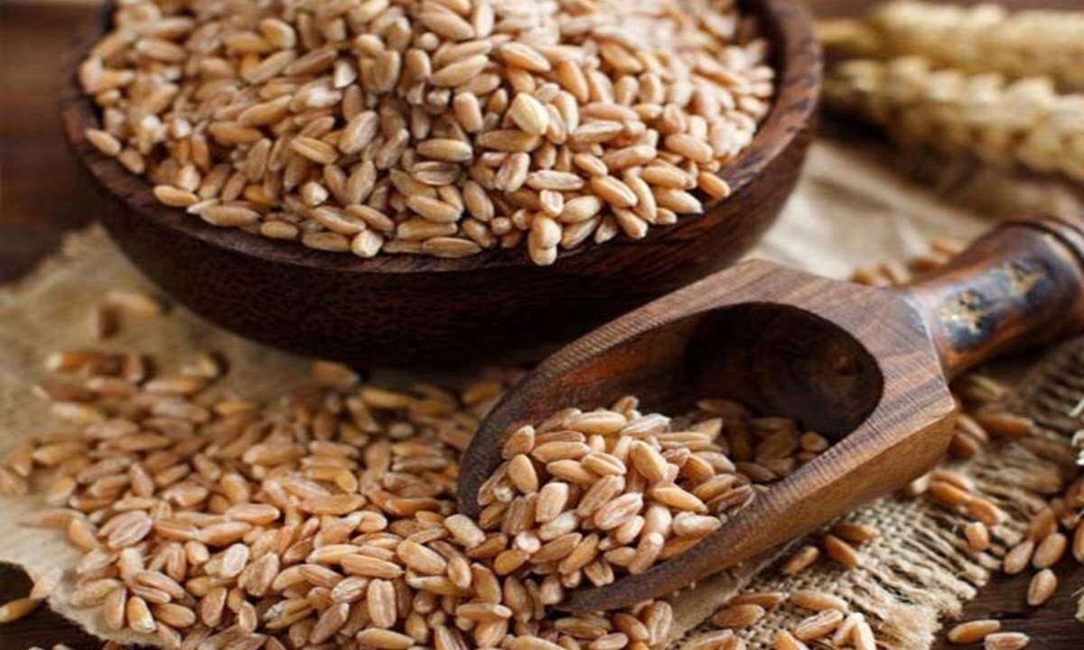 Did You Know Health Benefits Of Farro Grains?