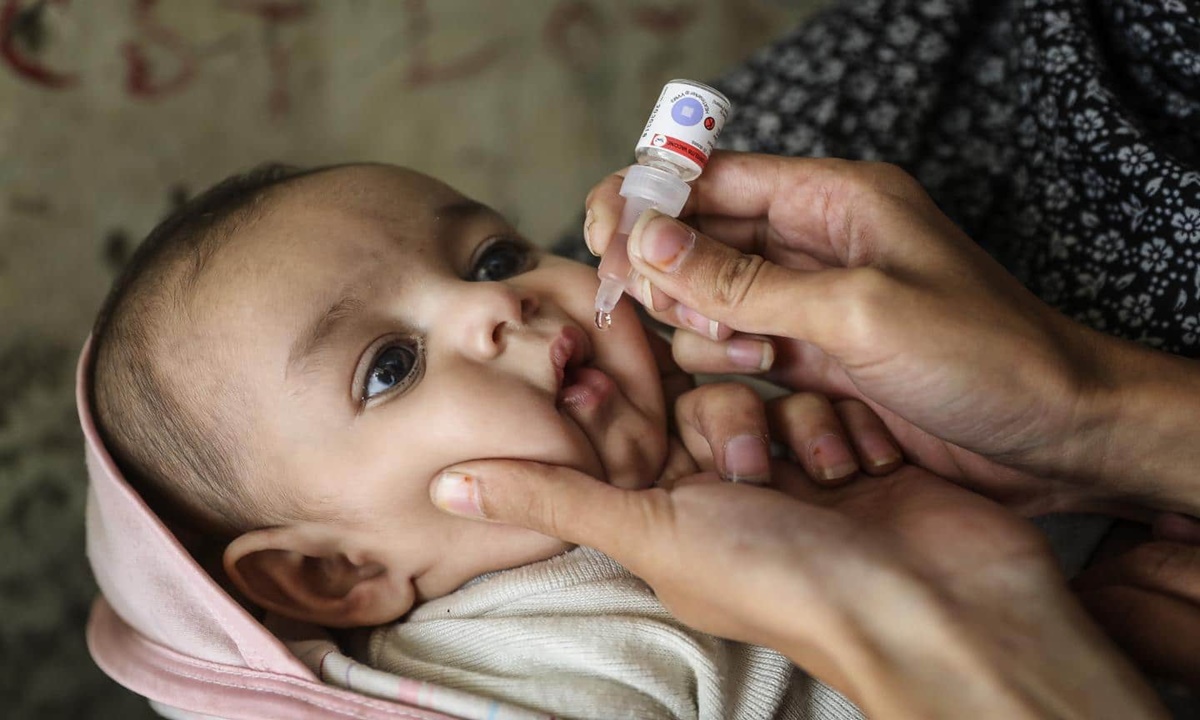Polio Day 2024: The Significance Of Polio Drops For Children